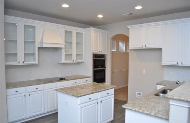16429 Dry Creek Boulevard - 16429 Dry Creek Boulevard, Denton County, TX 75078