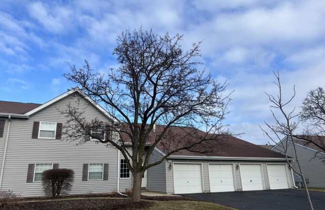 66 Gant Circle unit: D - 66 Gant Circle, Streamwood, IL 60107