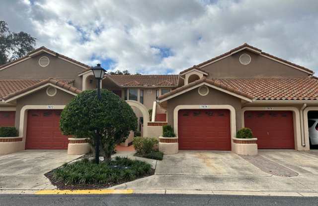 7876 Sugar View Court - 7876 Sugar View Court, Doctor Phillips, FL 32819