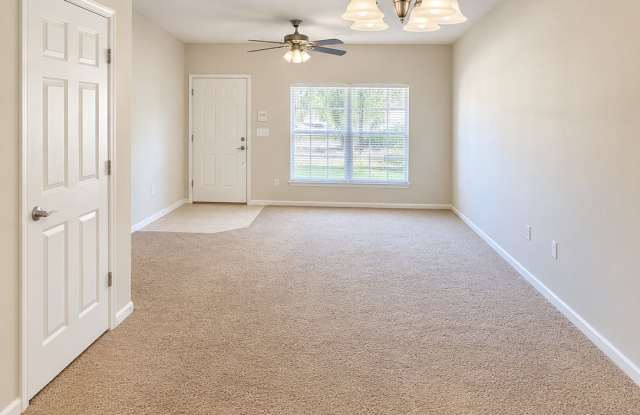 6729 Arching Branch Cir Gallery 3