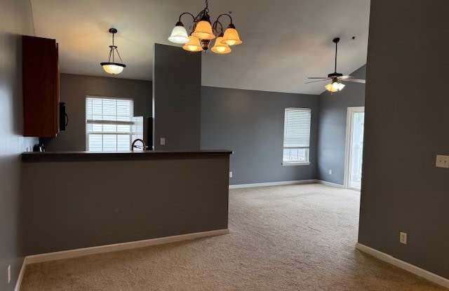 8303 Spring Creek Lane Gallery 3