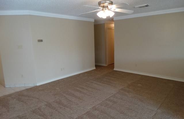 8006 CHESTNUT ASH DR Gallery 4