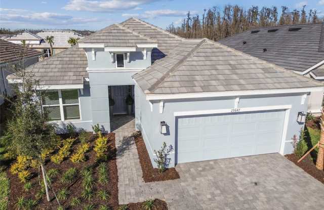 29647 CASSINO COURT photos photos