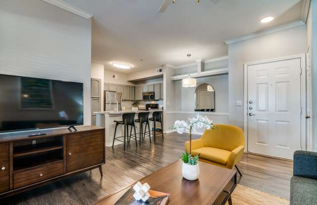 Bluffs at Vista Ridge Apartments Gallery 2