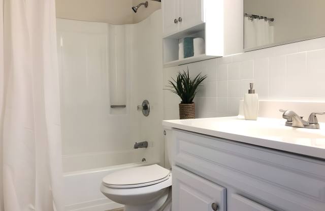 Brunswick Apartments Gallery 3