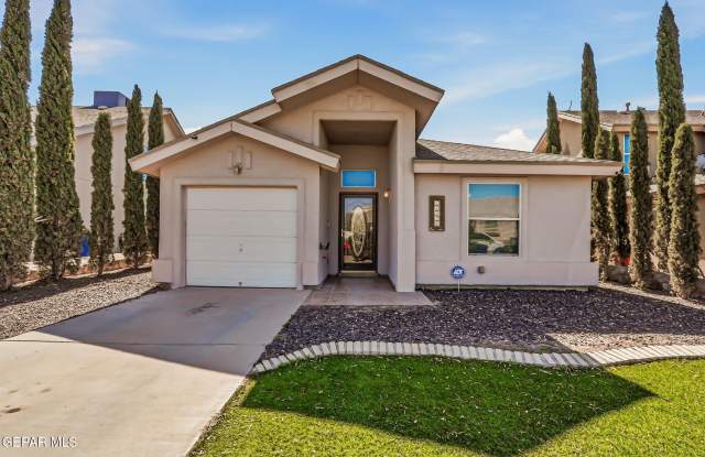 12928 Alfredo Apodaca Drive photos photos