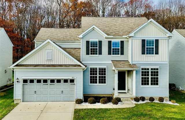 4816 Lake View Drive - 4816 Lake View Drive, Summit County, OH 44264