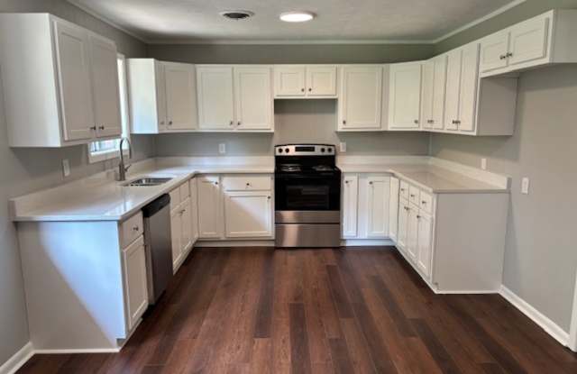 Renovated 4 Bedroom 1 Bath Apartment for Rent! Gallery 4