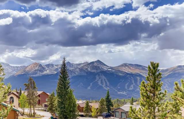 Ten Mile View House - Breckenridge - Winter rental! Pets negotiable! Gallery 4