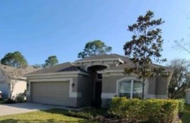 34424 BLUE ASH COURT - 34424 Blue Ash Court, Pasadena Hills, FL 33545