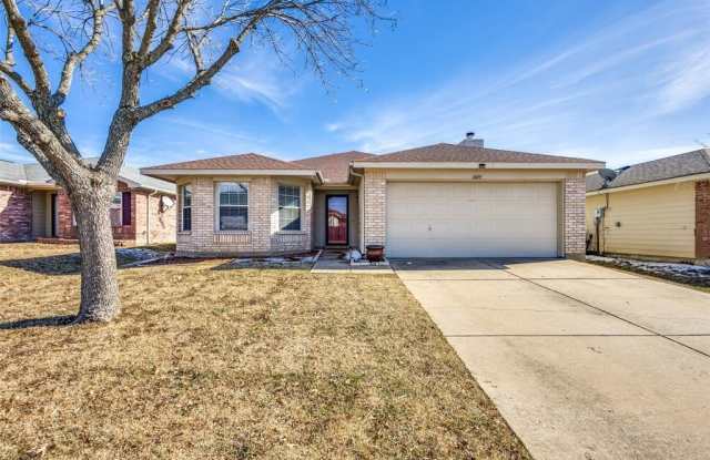 1409 Ash Street photos photos