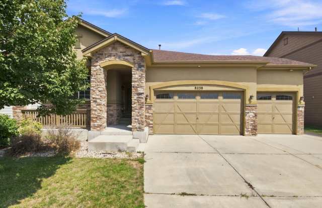 Beautiful 5 Bed 3 Bath Home in Banning Lewis Ranch! Gallery 1