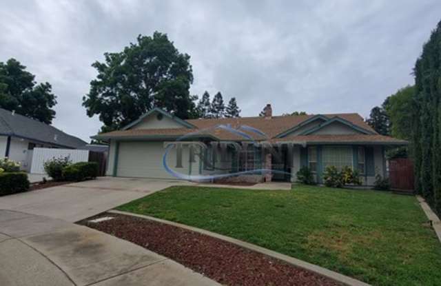 Beautiful Yuba City home on a large lot - 1180 Willow Creek Drive, Yuba City, CA 95991