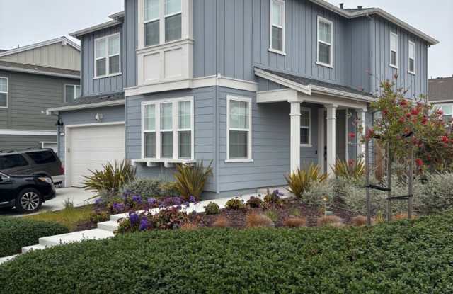 4 Bedroom Home in the Dunes, Avaliable August 1st! photos photos