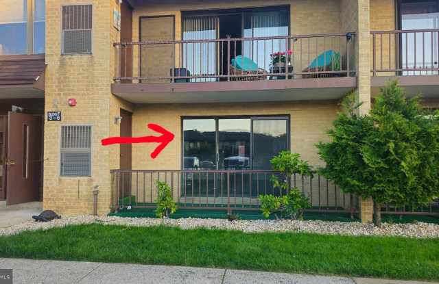 9906-00 BUSTLETON Avenue photos photos