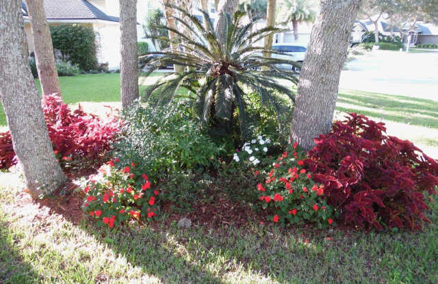 162 COASTAL OAK CIR Gallery 3