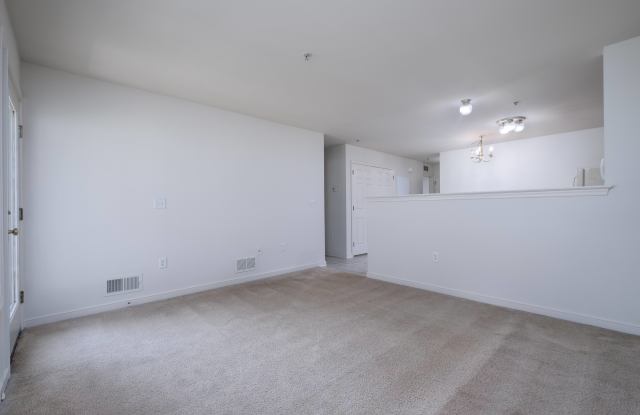 442 Talon Drive Gallery 2