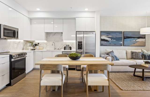 Vivo on Harbor Gallery 4
