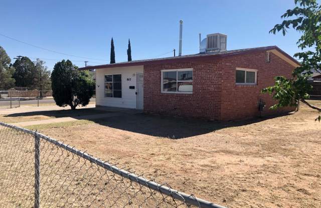 8613 MOUNT SHASTA Drive - 8613 Mount Shasta Drive, El Paso, TX 79904