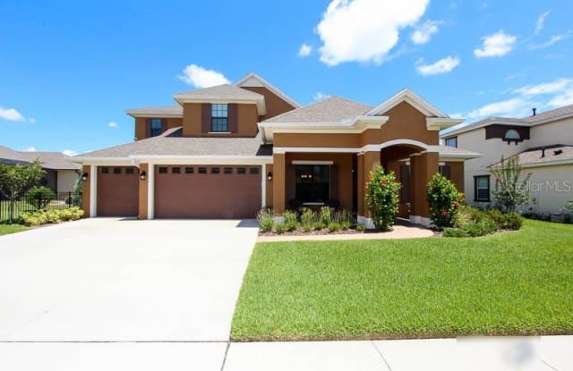15708 OAKLEAF RUN DRIVE - 15708 Oakleaf Run Drive, Fish Hawk, FL 33547