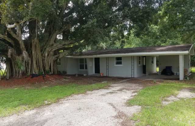 1195 Green Ave photos photos