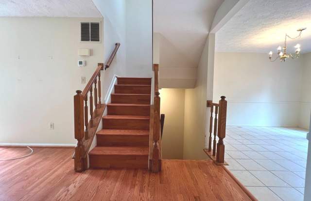 8531 BLACK STAR Circle Gallery 4