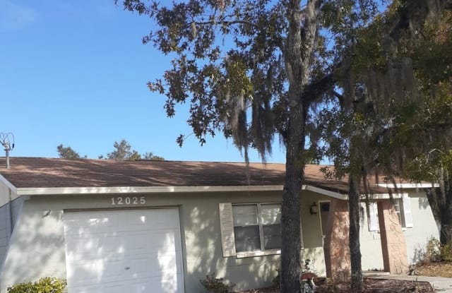 12025 Viking St - 12025 Viking Street, Spring Hill, FL 34609