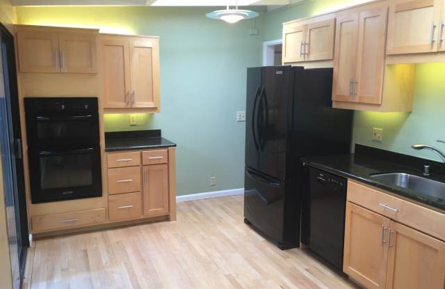 Beautiful 3 Bed 2 Bath Mountain View Home - Backyard Made for Entertaining Gallery 2
