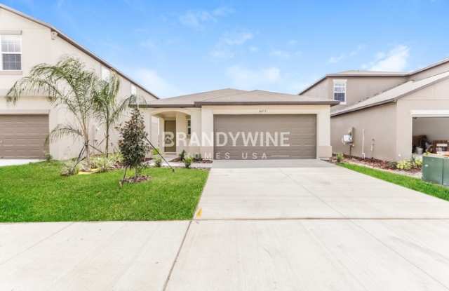 10053 Branching Ship Trace - 10053 Branching Ship Trace, Pasco County, FL 33545