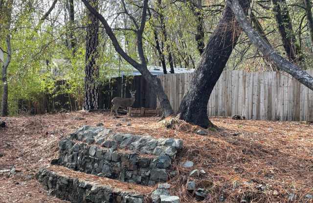 13167 Brookview Dr Gallery 2