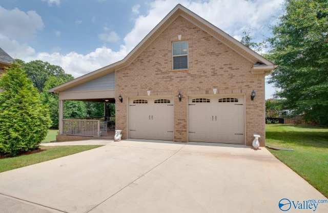 217 Buddy Tate Lane - 217 Buddy Tate Lane, Meridianville, AL 35759