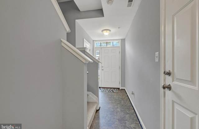 713 ENGLISH IVY Way Gallery 3