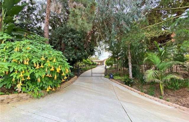 43218 Sandia Creek Drive photos photos