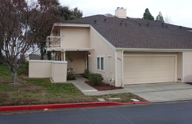 514 Allegheny Dr - 514 Allegheny Drive, Walnut Creek, CA 94598