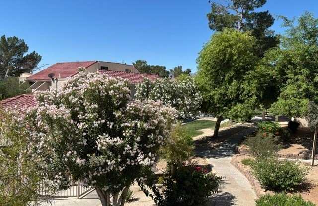 3730 Desert Marina Drive Gallery 2