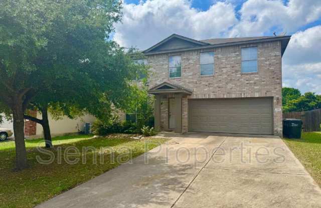 398 Paddington photos photos