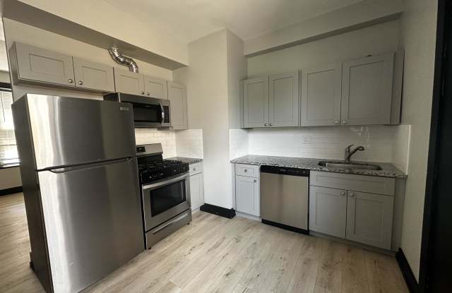 3854 W Hirsch st 1 - 3854 West Hirsch Street, Chicago, IL 60651