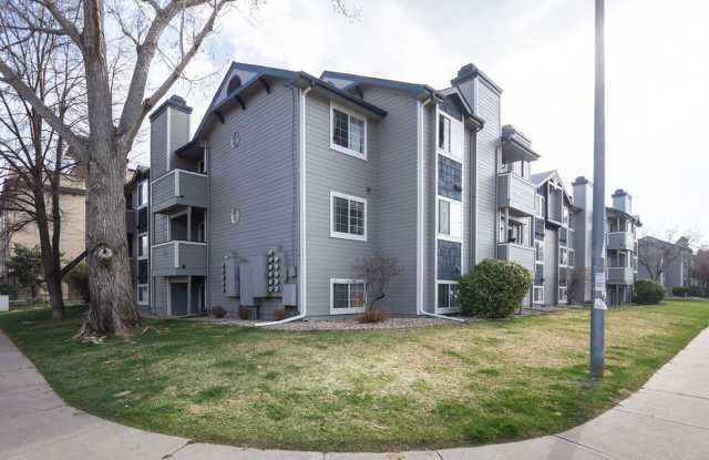 720 City Park B230 photos photos