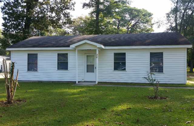 406 School Street (SNOW HILL) - 406 School Street, Snow Hill, NC 28580