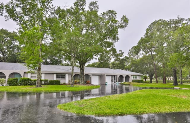 720 PALMER LANE - 720 Palmer Lane, East Lake, FL 34685