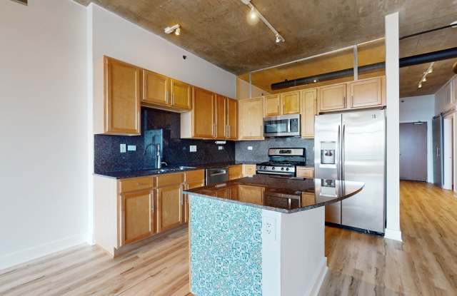 1305 S Michigan Avenue Gallery 4