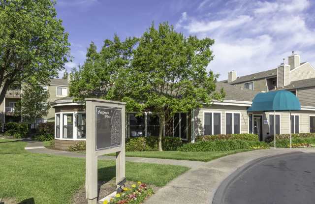 California Place Gallery 2