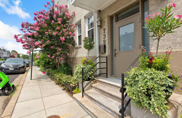 Columbia Heights Updated One Bedroom on Quiet Street - 739 Newton Place Northwest, Washington, DC 20010