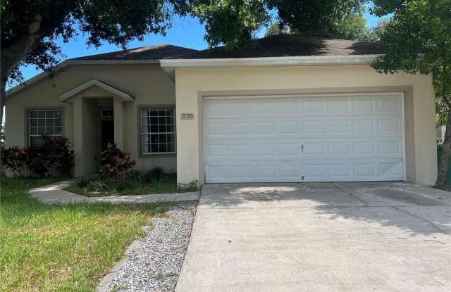250 RYANS RIDGE AVENUE - 250 Ryans Ridge Avenue, Eustis, FL 32726