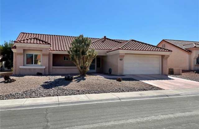 8905 Pennystone Avenue photos photos