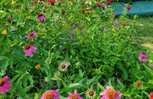 105 Hickok Street - A - 105 Hickok Street, Winooski, VT 05404 105 Hickok Street - A - 105 Hickok Street, Winooski, VT 05404