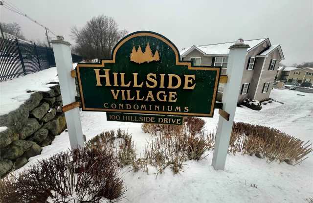 100 Hillside - 100 Hillside Drive, Orange County, NY 10941
