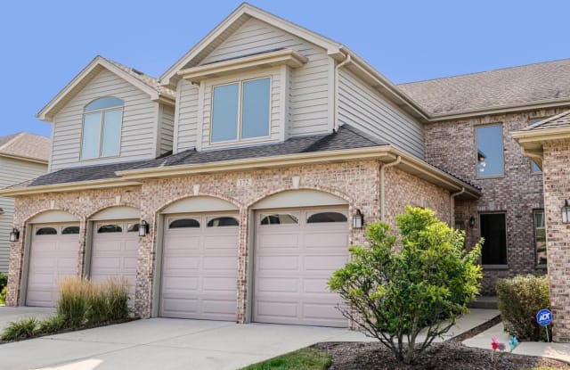 172 Mayo Court - 172 Mayo Ct, Elmhurst, IL 60126
