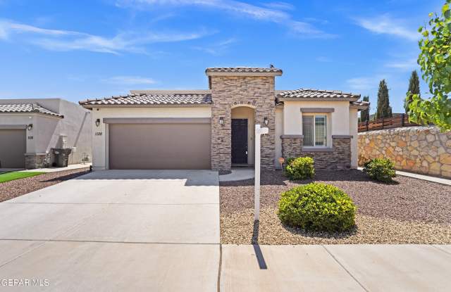 1128 PASEO DE SUERTE Drive photos photos