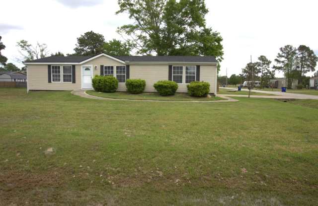 6575 Daylily photos photos